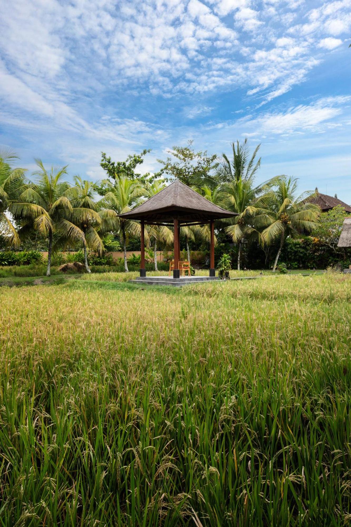 Svarga Bebek Villas Ubud  Ngoại thất bức ảnh